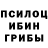 Псилоцибиновые грибы мухоморы Maria Rooreter