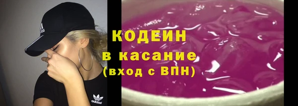ГАЛЛЮЦИНОГЕННЫЕ ГРИБЫ Новозыбков