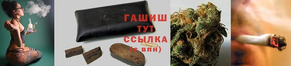 ГАЛЛЮЦИНОГЕННЫЕ ГРИБЫ Новозыбков