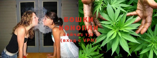 ГАЛЛЮЦИНОГЕННЫЕ ГРИБЫ Новозыбков