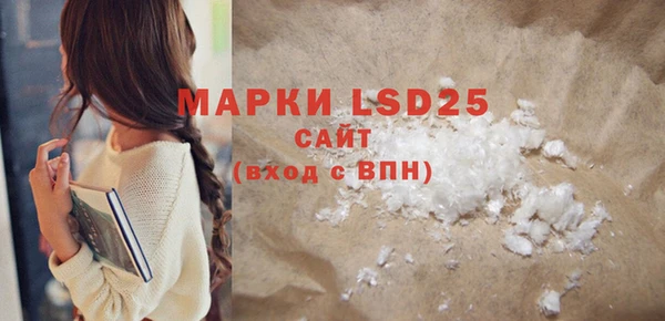 ГАЛЛЮЦИНОГЕННЫЕ ГРИБЫ Новозыбков