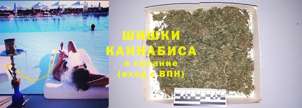 ГАЛЛЮЦИНОГЕННЫЕ ГРИБЫ Новозыбков