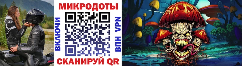 как найти   Домодедово  Псилоцибиновые грибы Cubensis 