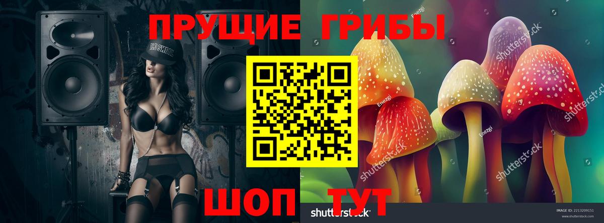 купить  сайты  Домодедово  Галлюциногенные грибы Magic Shrooms 