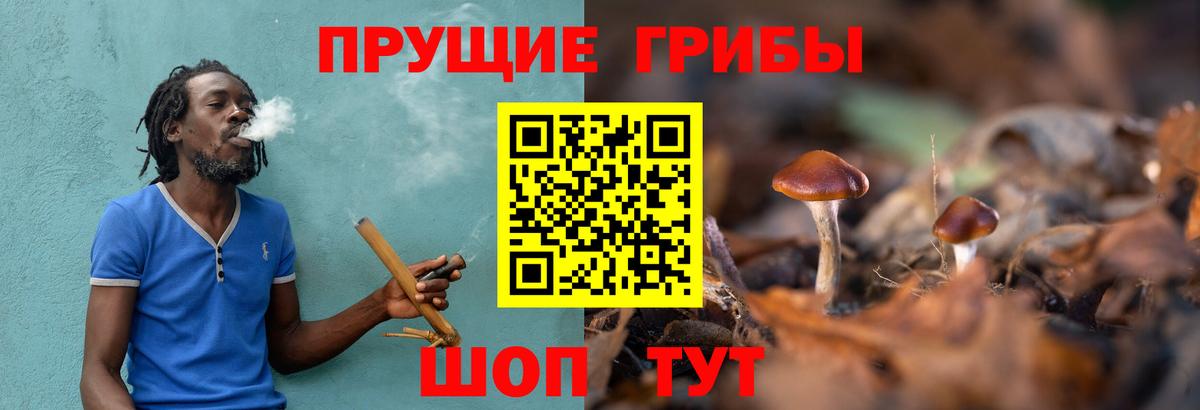 что такое   Галлюциногенные грибы мухоморы  Вход с VPN  Псилоцибиновые грибы мицелий  Домодедово 